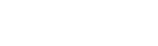 Brainster